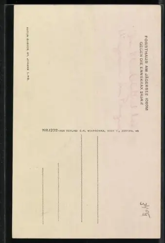 AK Kleinarl, Forsthaus am Jägersee gegen die Ennskrax, Bootspartie