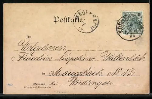 AK Korneuburg, Panorama mit Rathaus