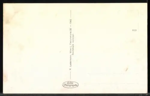 AK Weidling, Ortsansicht aus der Vogelschau