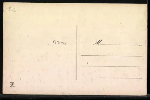 AK Lannemezan /Pyrénées-Centrales, La Place avec bâtiments historiques et rue animée