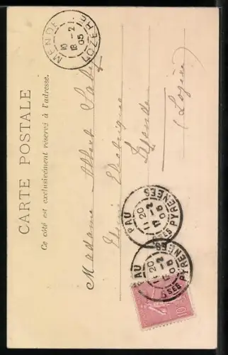 AK Cauterets /Les Pyrénées, Chiens des Pyrénées devant le studio de photographie NESSY