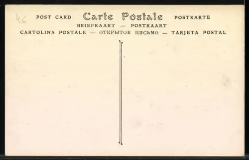 AK Lourdes, Brancardiers portant un malade devant la foule