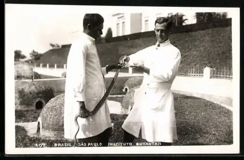 AK Sao Paulo, Instituto Butantan, Schlange wird gemolken