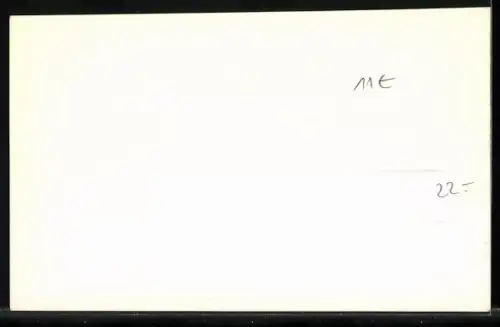 AK Sao Paulo, Instituto Butantan, Schlange wird gemolken