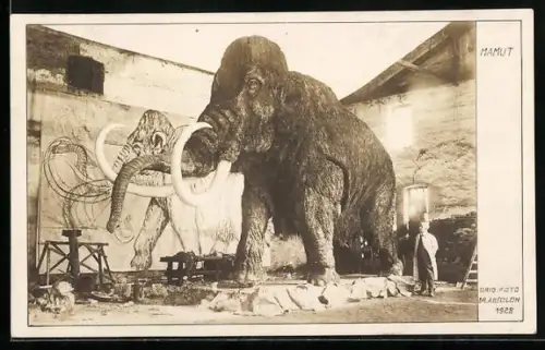 AK Mamut im Museum, Ausgrabung