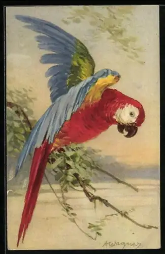 AK Schöner Papagei sitzt auf einem Ast