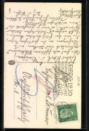 AK Schöner Papagei sitzt auf einem Ast