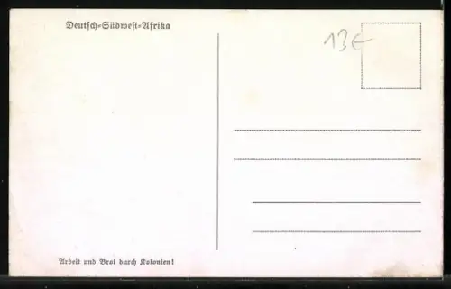 AK Chamäleon auf einem Ast