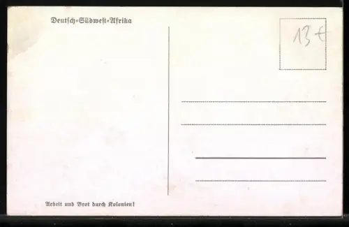 AK Chamäleon auf einem Ast