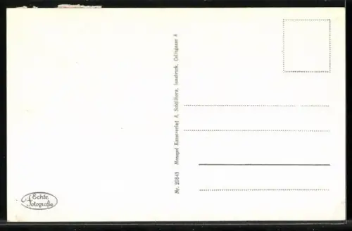 AK Mallnitz, Teilansicht gegen das Tauerntal mit Gaislspitze
