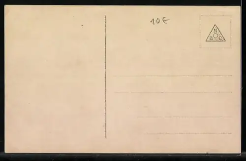 AK Braunschweig, Einzug des Herzogs Ernst August u. Gemahlin Victoria Luise