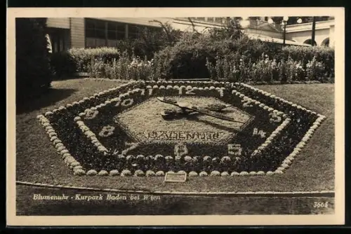 AK Baden b. Wien, Blumenuhr im Kurpark