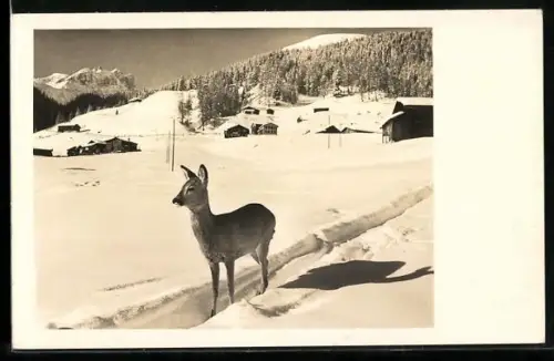 AK Reh vor einem verschneiten Dorf