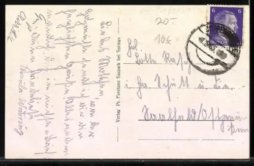 AK Starker Muffelwidder mit grossen Hörnern