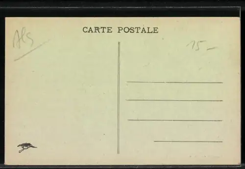 AK Alsace, Cigognes, Störche mit Nest auf dem Dach