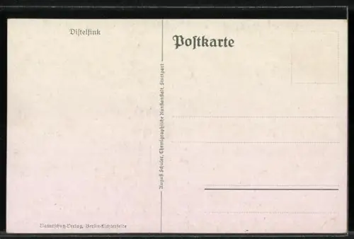 AK Distelfink, Singvogel auf einer Distelblüte, Karte des Bunds für Vogelschutz