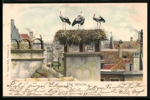 AK Strassburg, Die Störche, Storchennest über den Dächern der Stadt