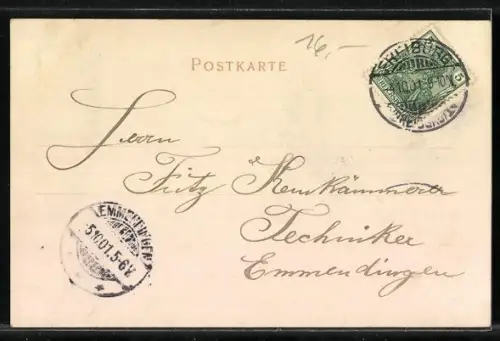 AK Strassburg, Die Störche, Storchennest über den Dächern der Stadt