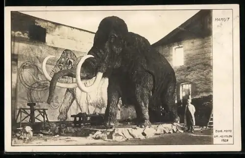 AK Mamut im Museum, Ausgrabung
