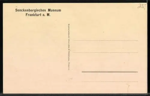 AK Frankfurt a/M, Senckenbergisches Museum, Langschnabeligel von West-Neuguinea