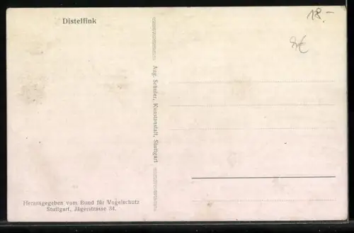 AK Distelfink, Singvogel auf einer Distelblüte, Karte des Bunds für Vogelschutz