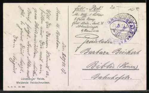 AK Weidende Heideschnucken in der Lüneburger Heide