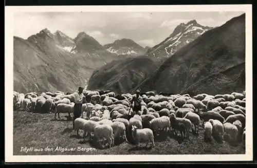 AK Schäfer hüten Schafherde in den Allgäuer Alpen, Reklame für C. Bilger Molkereierzeugnisse aus Kempten