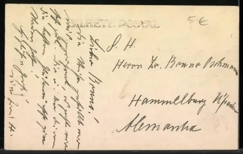 AK Sao Paulo, Instituto Butantan