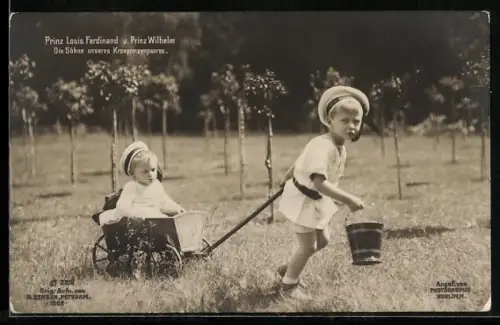 AK Prinz Louis Ferdinand u. Prinz Wilhelm die Söhne des Kronprinzenpaares