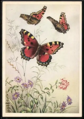 AK Fuchsschwanz Schmetterlinge mit Blumen