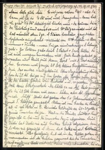 AK Fuchsschwanz Schmetterlinge mit Blumen