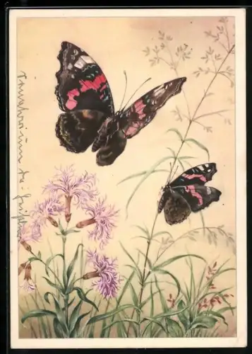 AK Schmetterlinge über Gräsern und Blumen