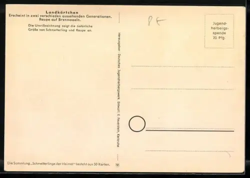 AK Schmetterling der Art Landkärtchen mit Raupenform, Frühjahrs-und Sommer-Generation