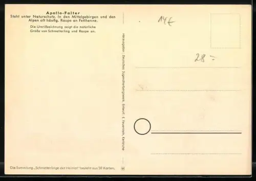 AK Apollo-Falter, Parnassius apollo L., Schmetterlinge der Heimat