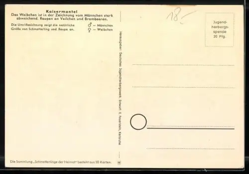 AK Schmetterling der Art Kaisermantel mit Raupenform