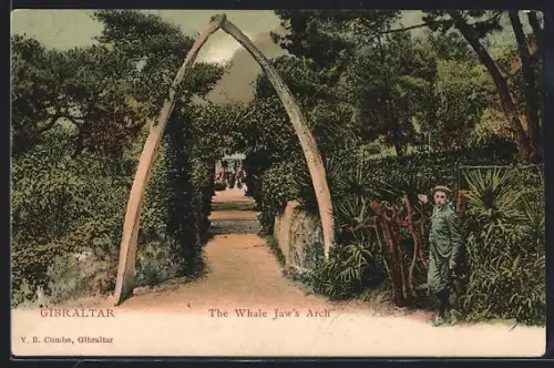 AK Gibraltar, The Whale Jaw`s Arch