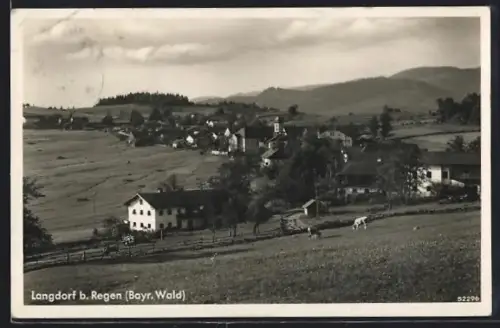 AK Langdorf b. Regen /Bayr. Wald, Ortsansicht mit Umgebung