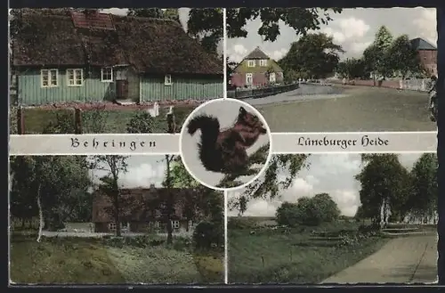 AK Behringen /Lüneburger Heide, Verschiedene Ortsansichten