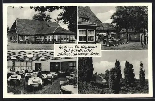 AK Behringen / Bispingen, Gasthaus Zur Grünen Eiche H. Rieckmann, Landschaft
