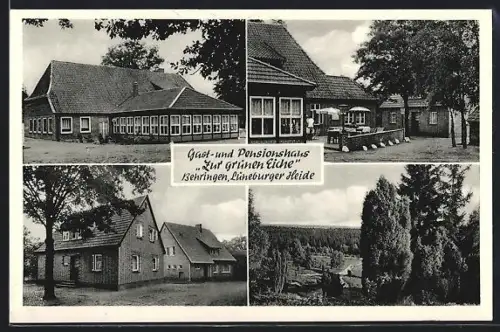 AK Behringen /Lüneburger Heide, Gast- und Pensionshaus Zur Grünen Eiche H. Rieckmann