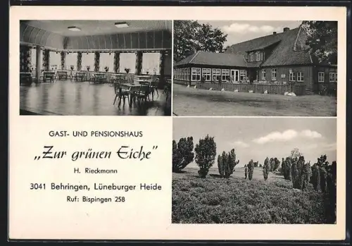 AK Behringen /Bispingen, Gasthaus Zur grünen Eiche, Inh. H. Rieckmann