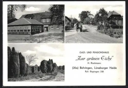 AK Behringen /Lüneburger Heide, Gasthaus und Pension Zur grünen Eiche, Inh. H. Rieckmann