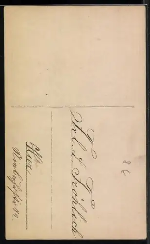 AK Unsere Kronprinzessin mit ihren beiden Söhnchen, Cecilia von Mecklenburg, Gattin des Kronprinzen Wilhelm von Preussen