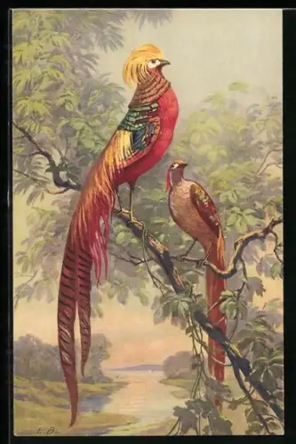 Künstler-AK Paradiesvögel in den Bäumen