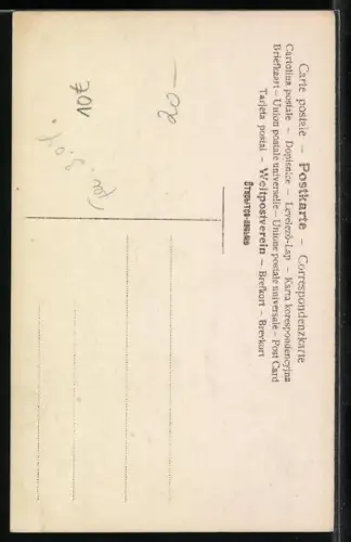 AK Marabu, Leptoptilus argala