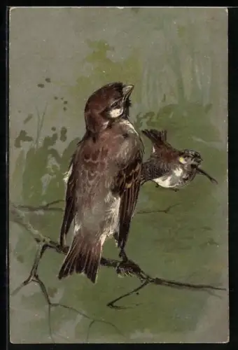 AK Zwei Vögel auf einem Baum