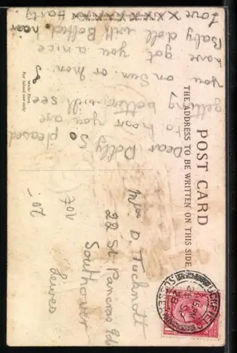 AK Zwei Vögel auf einem Baum