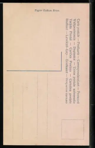 AK Portrait Kronprinz Wilhelm von Preussen