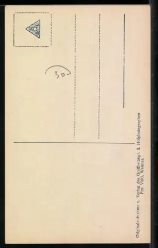 AK Porträt Prinzessin Sophie von Sachsen-Weimar-Eisenach 1918