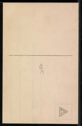 AK Einzug des Herzogs Ernst August von Braunschweig u. Gemahlin in Braunschweig